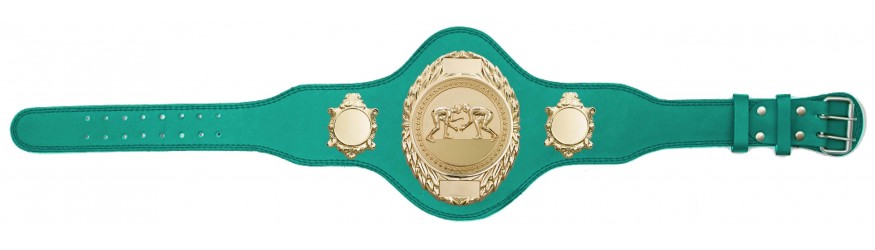 GRAPPLING CHAMPIONSHIP BELT-PLT286/G/GRAPG-4 COLOURS